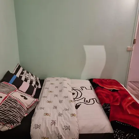 Maison d'hôtes Ina-olivia F5 A Massy (Essonne)